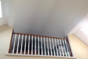 View 8 from project New Build, Co. Kildare